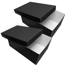 Lineco, Photo Card Box, Museum-Quality Archival Storage, Acid-Free with Removable Lid, Bulk Storage for Negatives, Prints, Films, Photos, Snapshot, 5x8x12 Inches, Black, 2 Pack
