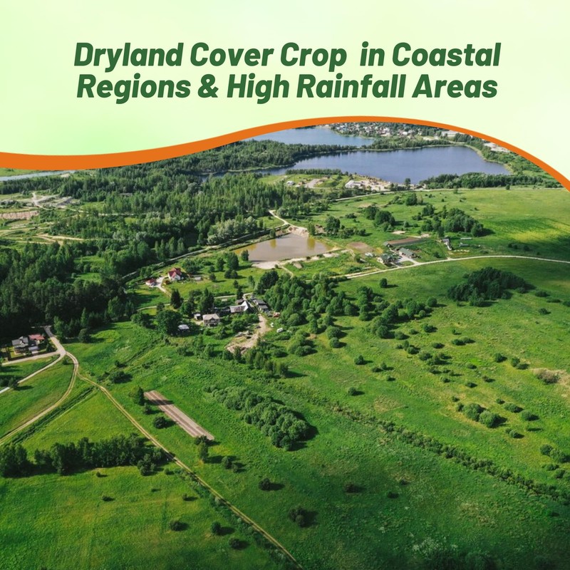 Outsidepride Creeping Red Fescue Grass Seed - 10 Lbs. Cool