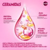 Sedal Shampoo Ceramidas 620 ml