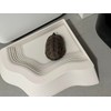 Reptile Ramp Water Bowl Dish Reptile Bathing Pool Feeding Dish