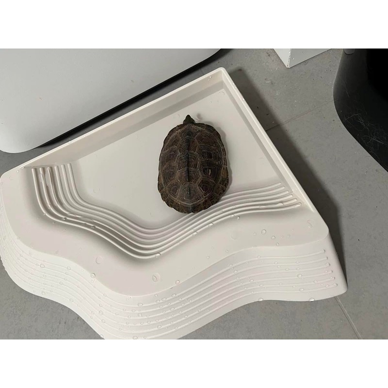 Reptile Ramp Water Bowl Dish Reptile Bathing Pool Feeding Dish