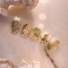 Libre Nuance Handmade Nail Tips - Paddy / 리브레 뉘앙스