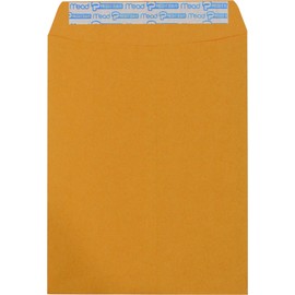 Hilroy Press-It Seal-It Kraft Envelopes, 10 X 13-Inch, 20-Count, Suntan (76046)