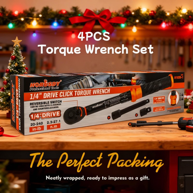 HORUSDY 1/4" Torque Wrench 4PCS Set, 20-240 in-lb Click Torque