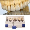 Teeth Whitening Shade Guide 29 Colors Comparison Individually Removable Tooth