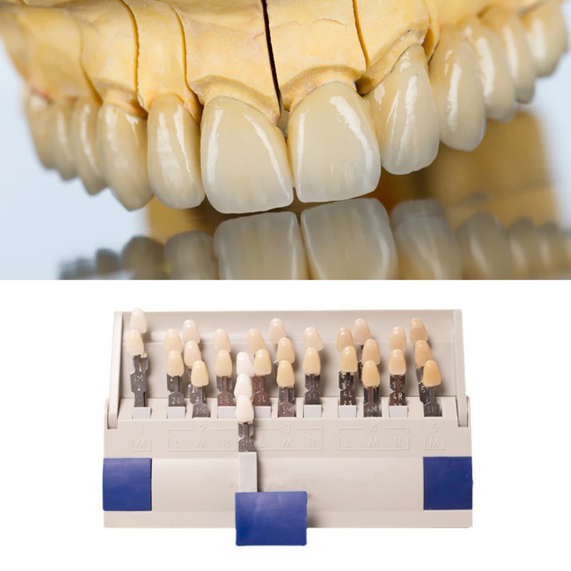 Teeth Whitening Shade Guide 29 Colors Comparison Individually Removable Tooth