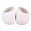Totority 2pcs Hanging Ceramic Flowerpot for Wall Planters for Succulent