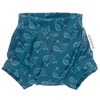 Windelmanufaktur Washable and Reusable Swim Nappy, Bath Nappy (Whales, XXL)