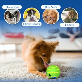 SIKARAAM Dog Balls Giggle Ball for Dogs Squeaky Balls Interactive and Funny Toy for Fatigue Relieve Anxiety Dogs Wobble Wag Giggle Ball Durable Dog Ball For Large, Medium and Small Pet Dogs 5.5"