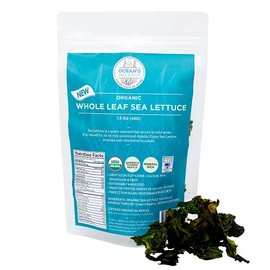 Ocean’s Balance Sea Lettuce Dried Seaweed – Whole Leaf Seaweed Organic, Perfect for Keto Diet, Paleo Diet, Vegetarian, or Vegan Diet – Gluten Free – 1.5 oz Bag