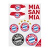 FC Bayern München Tattoo Set - 2 Sheets with 17