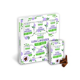 Backflow Incense Cones | Lush Lavender Plant Based | H23.2cm x W21.2cm x D3cm | pack of 1