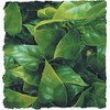 Zoo Med Naturalistic Bush Plant Mexican Phyllo, Large
