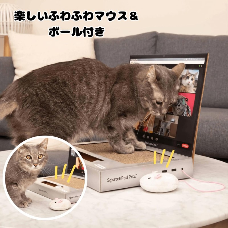 PC Shape Cat Nail Sharpener Nail Sharpener with Mouse Ball