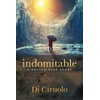 indomitable: a foster care story