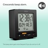 ZEON CE4555-DCF Digital Radio Alarm Clock for Central European Time