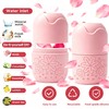 Skincare Tools Set with Facial Cleansing Brush, Ice Roller &