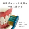 Ebisu The Premium Care Periodontal Pocket Plus, Normal, Set of