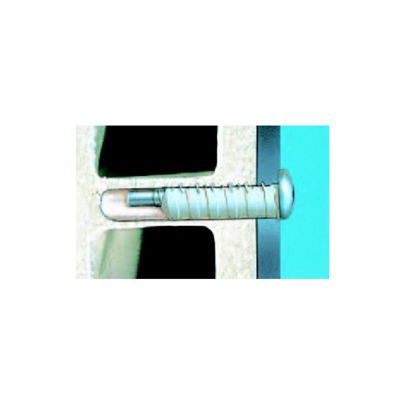 WAKAI 12H-30TS Eccentric Plug Truss, Stainless Steel 6x30, Quantity: 20