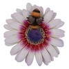 Vivid Arts - Hanging Zulu Daisy/Bee - HGF-026
