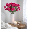 IPOPU 30 Heads Carnations Artificial Flowers 6PCS Silk Carnations 27.56in