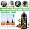 Shampoo para Canas, Hair Dye Shampoo 3 en 1 de