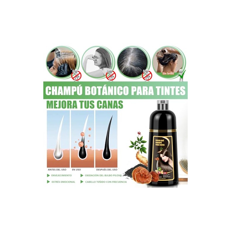 Shampoo para Canas, Hair Dye Shampoo 3 en 1 de