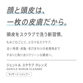 Ines Gentle Scrub Cleanse, Refill, 12.0 oz (340 g)