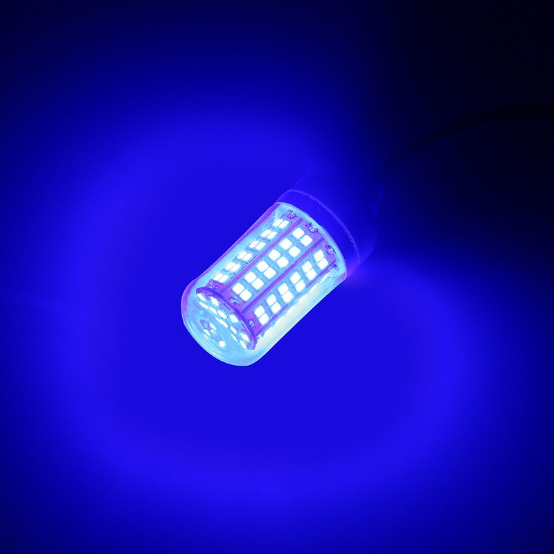 12V Outdoor LED Submersible Underwater Night Fishing Light Lamp (Blue)