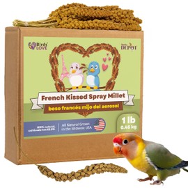 Birds LOVE 1lb French Kissed Spray Millet for Birds – Harvested in France & Packed in The USA – 100% Natural & Sun‑Dried Millet Spray for Parakeets, Cockatiels, Conures, Parrots & Budgies
