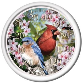 TAYLOR Precision Products Outdoor-Thermometers