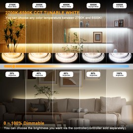 PAUTIX COB LED Strip Light CCT Tunable White IP65 Waterproof,CRI90+ 16.4ft/5m 2700K-6500K Dimmable 24V LED Tape Light,for Under Cabinet Bedroom Kitchen DIY Lighting(Adapter&Controller NOT Included)