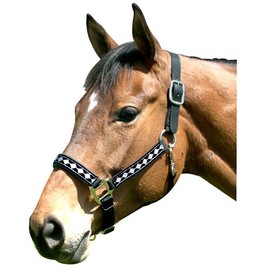Intrepid International Leather Crown Diamond with Padded Nose Halter, Black/Silver, Cob