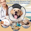 Soft Dog Cone Collar Alternative for Large Dogs After Surgery,