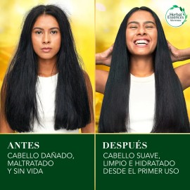 Shampoo sin sal Herbal Essences Nutre e Hidrata 400 ml