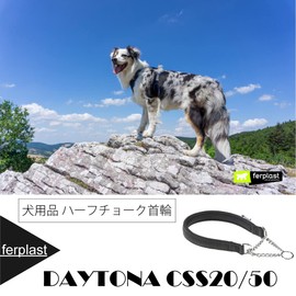 Daytona Black Padded Half Choke Chain Dog Collar (Medium - Large)