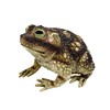Nicky Bigs Novelties Giant Rubber Toad Prop Decoration, Multi, 25cm