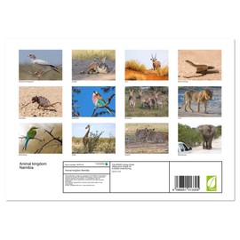 Animal kingdom Namibia (Monthly Wall Calendar 2025 11.7" x 16.5" (open)), CALVENDO 14 Month Calendar