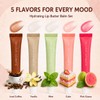 5 Pack Summer Special Lip Balm Butter Set, Tinted Lip