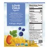 Love Child Organics Oaty Chomps Blueberry + Carrot Snack Bars,