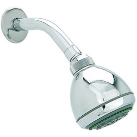 Dica 4509B Regadera Cebolla con Brazo y Chapetón