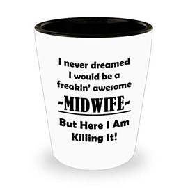Gifts for Awesome Midwife Shot Glass Tequila Shotglass Novelty Drinkware - Midwifery International Midwives Day Labor Delivery Nurse Birth Funny Cute Gag Appreciation Idea - Never Dreamed I Would Be