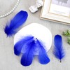 Lamar Feather 300pcs Blue Feathers 2-3 Inches Bulk Feathers for