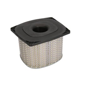 Hiflo Air Filter