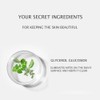 JOMTAM Amino Acid Cleansing Facial Anti-Acne Essence Moisturizing Removed Mites