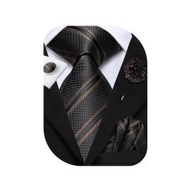 Hi-Tie Men Tie Flower Lapel Pin Set Jacquard Woven Silk Necktie Handkerchief Cufflinks Wedding Party,Black Brown Stripe