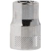 CRAFTSMAN Shallow Socket, Metric, 3/8-Inch Drive, 10mm, 6-Point (CMMT43542)