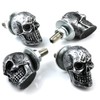 Bashineng Skull License Plate Screws Universal Car Truck Motorcycle License