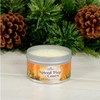 Scentsicles, Spiced Pine Cones, 6 Oz Soy Blend Candle, 25
