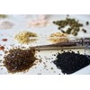 Gourmet Salt Gift Set - 10 Delicious, Natural Finishing Salts